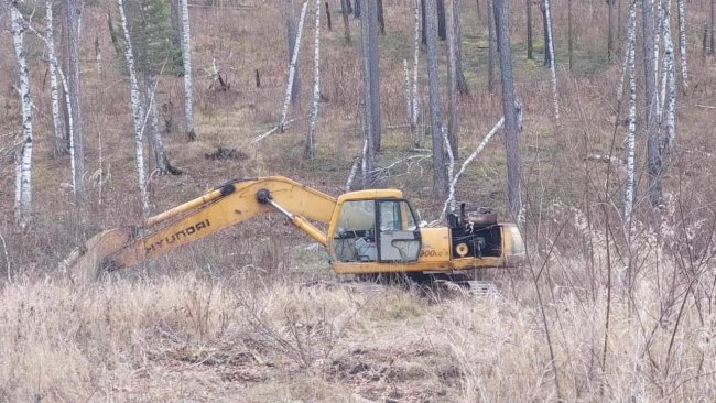 Хууль бусаар алт олборлож, гол ус бохирдуулжээ