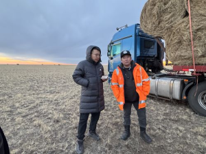 Өвөр Монгол орчин үеийн эрчимжсэн мал аж ахуйг хөгжүүлэхүй