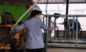 Орчин цагийн малчин Заяа