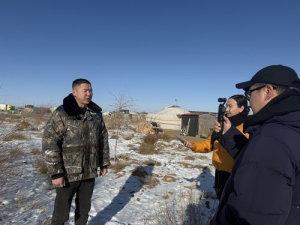 Хил дамнасан ногоон “аялал”