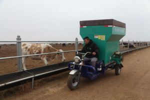 Аргыг нь олж асуудлыг шийдэх нь